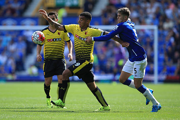 塔图姆作为 塔图姆作为