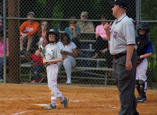 这不仅优化 这不仅优化